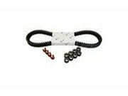 Wartungskit Variomatik Piaggio MP3 Business / Sport 500cc