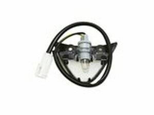 Kennzeichenbeleuchtung Piaggio Fly 50 4T 2V