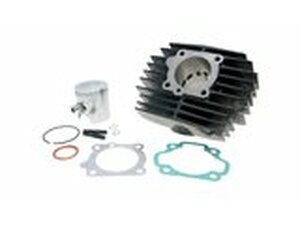 Zylinder Kit Polini Grauguss Sport 65ccm Honda Camino /...