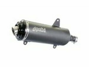 Auspuff Polini Peugeot Metropolis 400 2013-2016