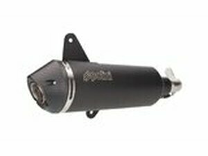 Auspuff Polini Vespa GTS 300 ab 2017 mit Katalysator