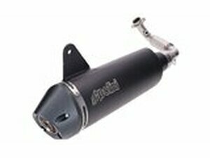 Auspuff Polini Vespa 300 ab 2020 mit Katalysator