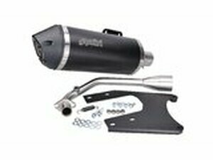 Auspuff Polini Vespa 125 Euro 5