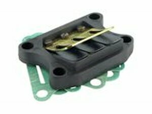 Membranblock Polini Peugeot TKR