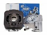 Zylinder Kit Polini Sport 50ccm Grauguss Piaggio AC