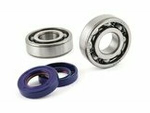 Kurbelwellenlager Satz Polini Derbi