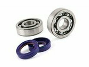 Kurbelwellenlager und Wellendichtringe Polini Minarelli AM6