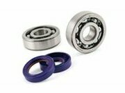 Kurbelwellenlager und Wellendichtringe Polini Minarelli AM6