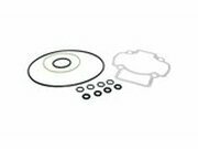 Polini Dichtsatz  Big Bore Piaggio H2O