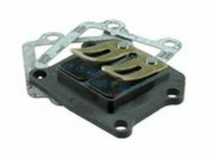 Membranblock Polini Minarelli stehend