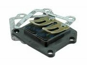 Membranblock Polini Minarelli stehend