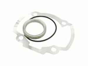 Dichtsatz Polini 50 ccm Peugeot