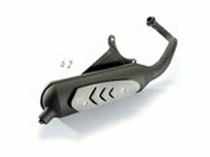 Auspuff Polini Original Piaggio Zip mit Straenzulassung