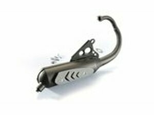 Auspuff Polini Original Minarelli stehend