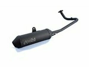 Auspuff Sport Polini Peugeot Kisbee 50 4T