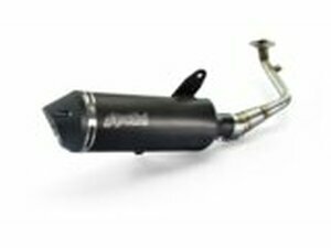 Auspuff Polini Sym GTS 125 Evo 2015