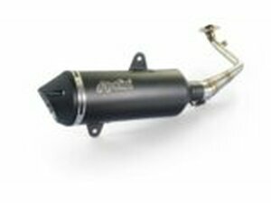 Auspuff Polini Sym Joymax 125 ab 2015