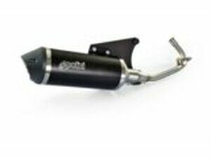 Auspuff Polini Vespa Primavera iGet 125