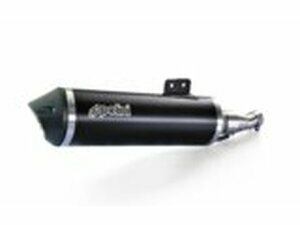 Auspuff Polini Kymco AK 550 ab 2017