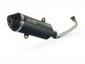 Auspuff Polini Yamaha Nmax 125 ab 2017