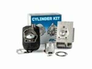 Zylinder Kit Polini Racing Piaggio Bravo d.43