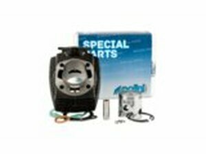 Zylinder Kit Polini 65ccm Grauguss Peugeot 103 AC