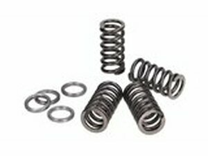 Kupplungsfedern Polini verstrkt Minarelli AM6