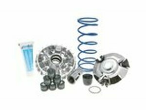 Variomatik Maxi Hi-Speed Polini SYM HD 200