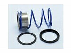 Gegendruckfeder Polini Evo-Slider Vespa 300