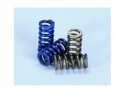 Kupplungsfedern Polini Speed Clutch 2G EVO2