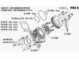 Dichtungssatz Zylinderkit Polini P.R.E. 2 100ccm...