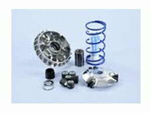 Variomatik Polini Hi-Speed Yamaha Vespa Primavera 125 ab 2016