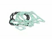 Dichtungssatz Zylinder Polini Vespa 300