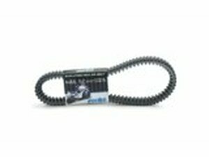 Keilriemen Polini Maxi Evo Honda SH 350 ab 2021