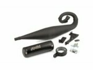 Auspuff Polini For Race Piaggio Si