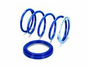 Gegendruckfeder Polini Yamaha Xmax / Majesty 400cc ap.09