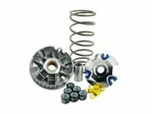 Variomatik Polini Hi-Speed, Honda Vision, 4-Takt