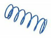 Gegendruckfeder Polini  Honda SHi / Pantheon 125-150cc