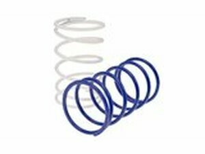 Gegendruckfedern Set Polini Evolution Piaggio / Minarelli