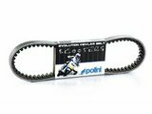 Keilriemen Polini Evolution Aramid Piaggio kurz neu