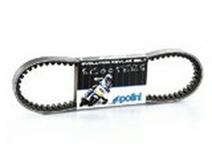 Keilriemen Polini Evo Aerox 4T / China 2T / Minarelli kurz