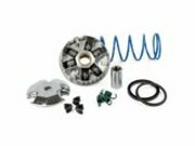 Variomatik Polini Hi Speed Minarelli stehend