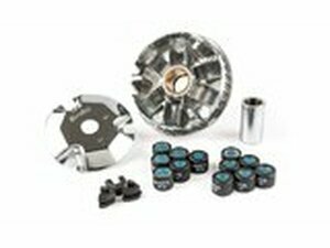 Variomatik Speed Control Polini, Honda Zoomer 50, 4-Takt