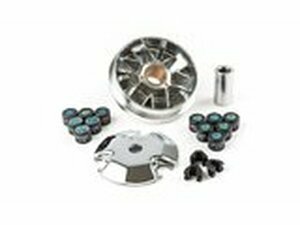 Variomatik Speed Control Polini, Peugeot liegend