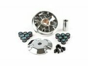 Variomatik Speed Control Polini, Peugeot liegend