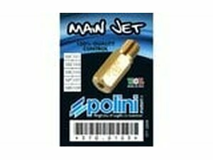 Hauptdsenset Polini Keihin PWK + Polini CP 101 - 119