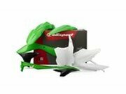 Verkleidungskit Polisport Originalfarbe Kawasaki KXF 450