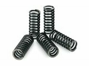 Kupplungsfedern Pro Circuit KXF 250 bis 2020