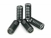Kupplungsfedern Pro Circuit KXF 250 bis 2020