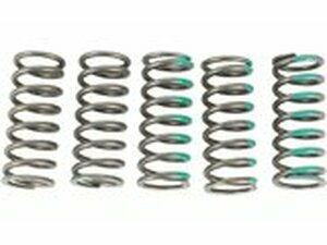 Kupplungsfedern Pro Circuit KXF 450 jusuquà 2020